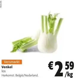 Colruyt Venkel aanbieding