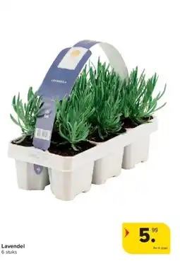 Carrefour Lavendel aanbieding