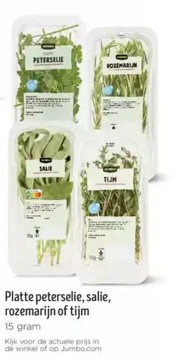Jumbo Platte peterselie, salie, rozemarijn of tijm aanbieding