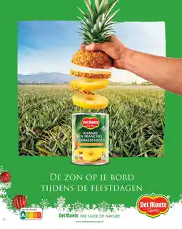 Jumbo Del Monte ananas en tranches aanbieding