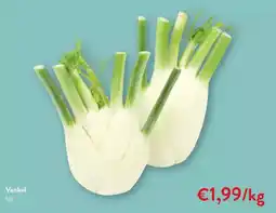 OKay Venkel aanbieding