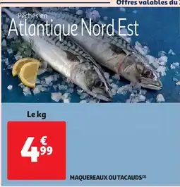 Auchan maquereaux ou tacauds aanbieding