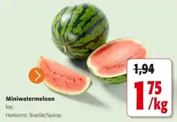 Colruyt Miniwatermeloen aanbieding
