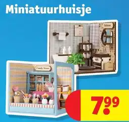 Kruidvat Miniatuurhuisje aanbieding
