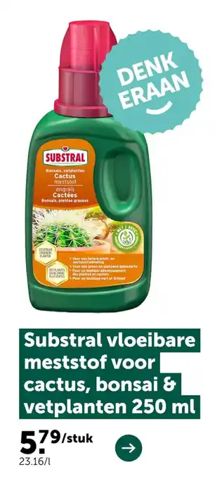 Substral vloeibare meststof voor cactus, bonsai & vetplanten