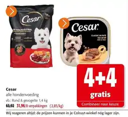 Colruyt Cesar alle hondenvoeding aanbieding