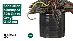 AVEVE Scheurich bloempot 828 glass grey aanbieding