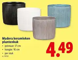 Lidl Madera keramieken plantenbak aanbieding