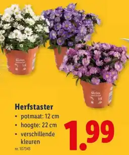 Lidl Herfstaster aanbieding