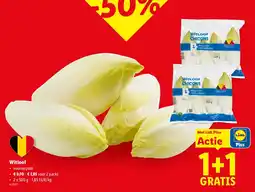 Lidl Witloof aanbieding