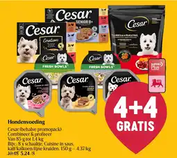 Delhaize Hondenvoeding Cesar aanbieding