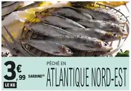 E.Leclerc sardine aanbieding