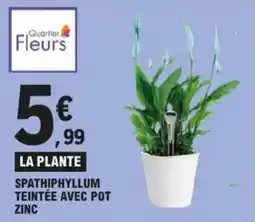 E.Leclerc Spathiphyllum teintée avec pot zinc aanbieding