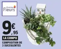 E.Leclerc la compo composition de 3 succulentes aanbieding