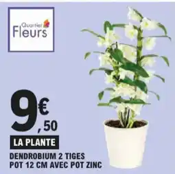 E.Leclerc Dendrobium 2 tiges aanbieding