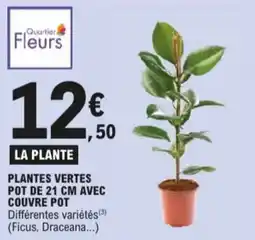 E.Leclerc la plante aanbieding