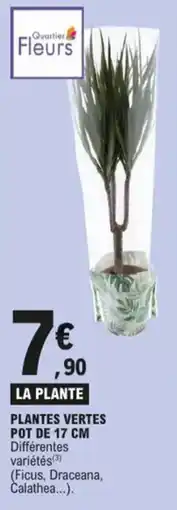 E.Leclerc la plante aanbieding