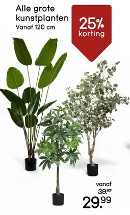 Leen Bakker Alle grote kunstplanten aanbieding