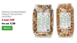 Intratuin Intratuin hondenkoekjes aanbieding
