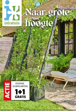 Intratuin Klimplanten aanbieding