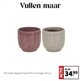 Intratuin Pot raster aanbieding