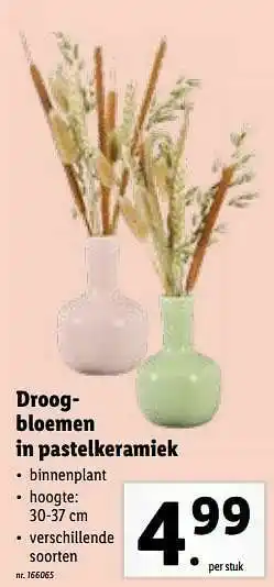 Droogbloemen in pastelkeramiek