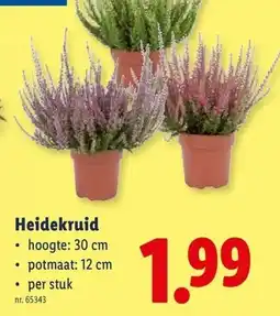 Lidl Heidekruid aanbieding