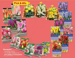 Lidl Bloembollen aanbieding