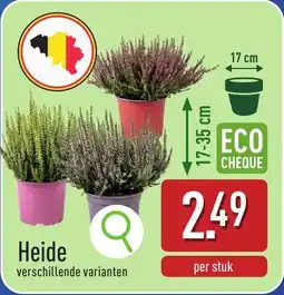 ALDI Heide aanbieding
