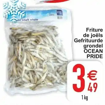 Cora Friture de joels Gefrituurde grondel Ocean Pride 1kg aanbieding