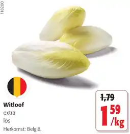 Colruyt Witloof extra los aanbieding