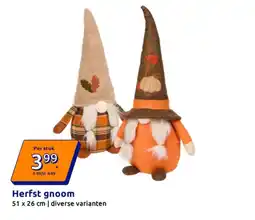 Action Herfst gnoom aanbieding