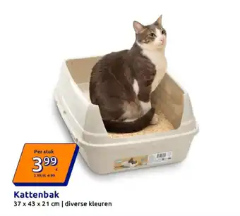 Kattenbak