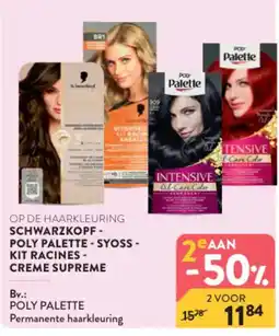 Di Poly palette permanente haarkleuring aanbieding