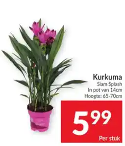 Intermarché Kurkuma Siam Splash aanbieding