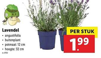 Lidl Lavendel aanbieding