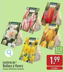 ALDI Gardenline bulbes à fleurs aanbieding