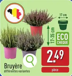 ALDI Bruyère aanbieding