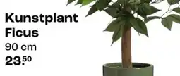 Kwantum Kunstplant ficus aanbieding