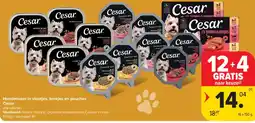 Carrefour Market Hondenvoer in vlootjes, brokjes en pouches Cesar aanbieding