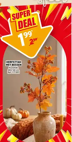 Trafic Herfsttak met bessen aanbieding