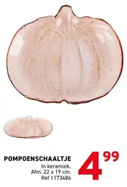 Trafic Pompoenschaaltje aanbieding