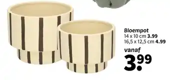 Bloempot