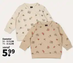 Wibra Sweater aanbieding
