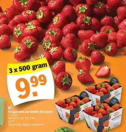 Albert Heijn Hoogstraten aardbeien aanbieding