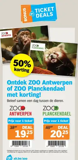 Albert Heijn Zoo Antwerpen aanbieding