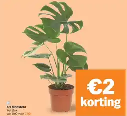 Albert Heijn AH Monstera aanbieding