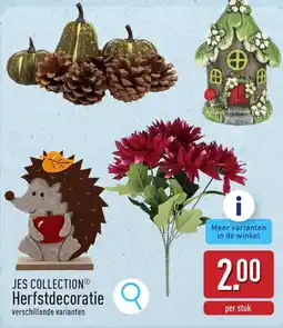 ALDI Herfstdecoratie aanbieding