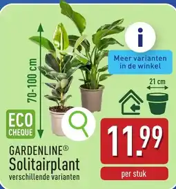 ALDI Gardenline solitairplant aanbieding