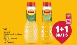 Delhaize Sap Granini aanbieding